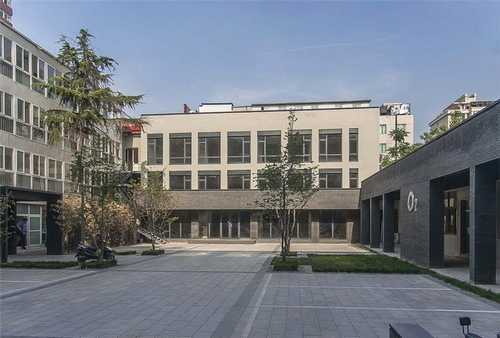 梁溪区商场绿植上门服务