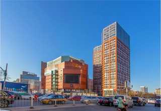 杭州凤凰单枞茶叶源产地